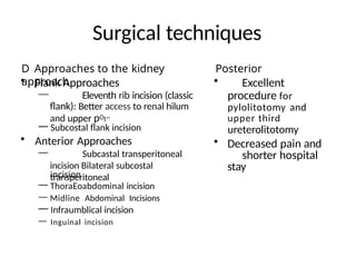 Simple Flank Incision Renal Stone..........................pptx
