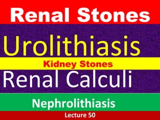 Renal Stones
Lecture 50
Urolithiasis
Renal Calculi
Nephrolithiasis
Kidney Stones
 