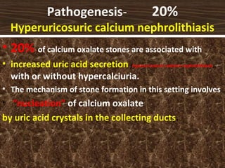 Pathogenesis- 20%
Hyperuricosuric calcium nephrolithiasis
• 20% of calcium oxalate stones are associated with
• increased uric acid secretion (hyperuricosuric calcium nephrolithiasis),
with or without hypercalciuria.
• The mechanism of stone formation in this setting involves
• “nucleation” of calcium oxalate
by uric acid crystals in the collecting ducts.
 