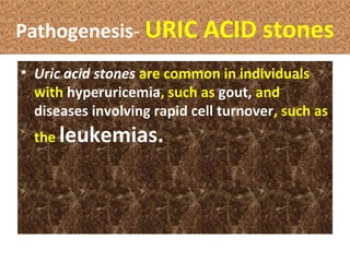 Pathogenesis- URIC ACID stones
• Uric acid stones are common in individuals
with hyperuricemia, such as gout, and
diseases involving rapid cell turnover, such as
the leukemias.
 