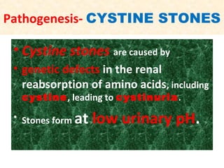 Pathogenesis- CYSTINE STONES
• Cystine stones are caused by
• genetic defects in the renal
reabsorption of amino acids, including
cystine, leading to cystinuria.
• Stones form at low urinary pH.
 