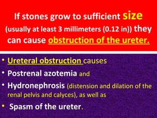 If stones grow to sufficient size
(usually at least 3 millimeters (0.12 in)) they
can cause obstruction of the ureter.
• Ureteral obstruction causes
• Postrenal azotemia and
• Hydronephrosis (distension and dilation of the
renal pelvis and calyces), as well as
• Spasm of the ureter.
 