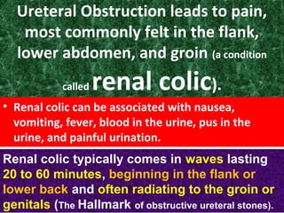 Ureteral Obstruction leads to pain,
most commonly felt in the flank,
lower abdomen, and groin (a condition
called renal colic).
• Renal colic can be associated with nausea,
vomiting, fever, blood in the urine, pus in the
urine, and painful urination.
Renal colic typically comes in waves lasting
20 to 60 minutes, beginning in the flank or
lower back and often radiating to the groin or
genitals (The Hallmark of obstructive ureteral stones).
 