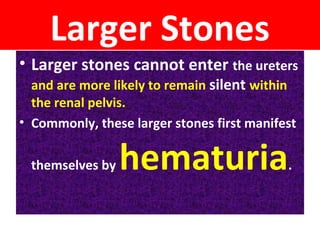Larger Stones
• Larger stones cannot enter the ureters
and are more likely to remain silent within
the renal pelvis.
• Commonly, these larger stones first manifest
themselves by hematuria.
 