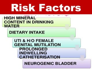 Risk Factors
 