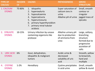TYPE OF
CALCULI
INCIDEN
CE
CAUSES PATHOGENESIS GROSS
STRUCTURE
1. CALCIUM
STONES
75-80% 1. idiopathic
2. hyperoxaluria
3. hypocalcaemia
4. hypercalciuria
5. hyperuricosuria
6. primary hyperthyroidism
7. primary renal tubular
acidosis
Super saturation of
calcium ions in
urine
Alkaline pH of urine
Small, smooth
contour or
irregular
jagged mass of
spicules
2. STRUVITE
STONES
10-15% Urinary infection by urease
containing organisms like
protease
Alkaline urinary pH
due to production
of ammonia from
urea
Large, solitary,
branching
structure
formed due to
progressive
accretion of
salts
3. URIC ACID
STONES
6% Gout, dehydration,
idiopathic & malignant
tumors
Acidic urine &
decreased
solubility of uric
acid
Smooth, yellow
to brownish,
hard and
multiple
4. CYSTINE
STONES
1-2% Hereditary Cystine precipitates
in acid urine
Small, smooth
yellow & round
 