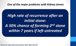 Men Stone Problem Renal stones patient awareness | PPTX