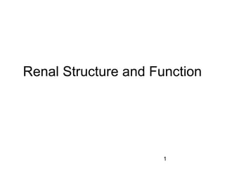 Renal structure and function physiology | PPT