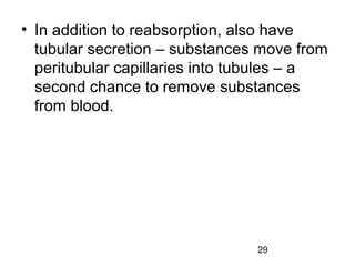 29
• In addition to reabsorption, also have
tubular secretion – substances move from
peritubular capillaries into tubules – a
second chance to remove substances
from blood.
 