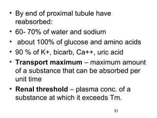 31
• By end of proximal tubule have
reabsorbed:
• 60- 70% of water and sodium
• about 100% of glucose and amino acids
• 90 % of K+, bicarb, Ca++, uric acid
• Transport maximum – maximum amount
of a substance that can be absorbed per
unit time
• Renal threshold – plasma conc. of a
substance at which it exceeds Tm.
 
