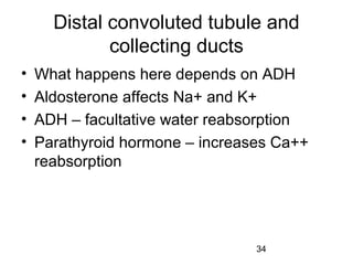 34
Distal convoluted tubule and
collecting ducts
• What happens here depends on ADH
• Aldosterone affects Na+ and K+
• ADH – facultative water reabsorption
• Parathyroid hormone – increases Ca++
reabsorption
 
