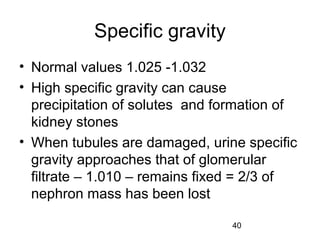 40
Specific gravity
• Normal values 1.025 -1.032
• High specific gravity can cause
precipitation of solutes and formation of
kidney stones
• When tubules are damaged, urine specific
gravity approaches that of glomerular
filtrate – 1.010 – remains fixed = 2/3 of
nephron mass has been lost
 