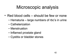 42
Microscopic analysis
• Red blood cells – should be few or none
– Hematuria – large numbers of rbc’s in urine
– Catheterization
– Menstruation
– Inflamed prostate gland
– Cystitis or bladder stones
 