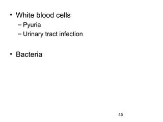 45
• White blood cells
– Pyuria
– Urinary tract infection
• Bacteria
 