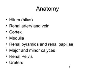5
Anatomy
• Hilum (hilus)
• Renal artery and vein
• Cortex
• Medulla
• Renal pyramids and renal papillae
• Major and minor calyces
• Renal Pelvis
• Ureters
 