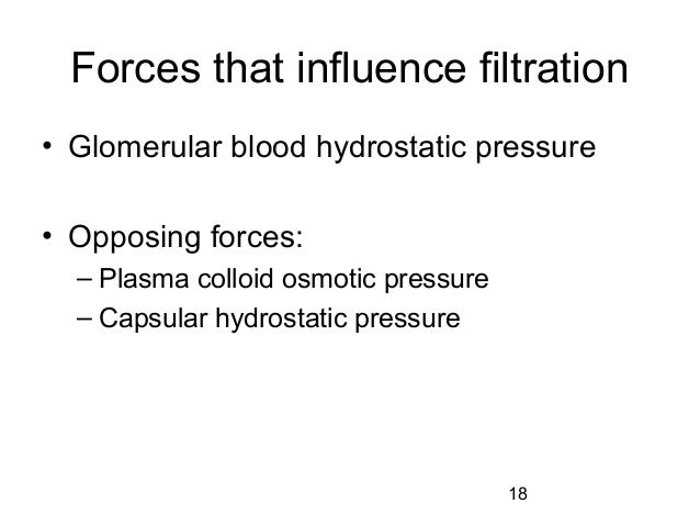 of apparatus juxtaglomerular composition structure function and Renal physiology of apparatus juxtaglomerular composition structure function and Renal physiology