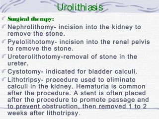 Renalsystem | PPT