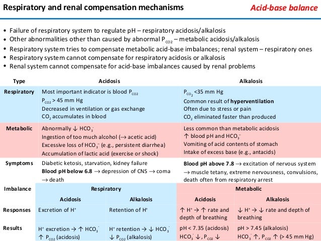 Renal system