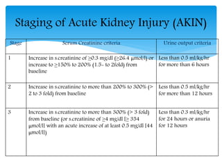 Renal system | PPTX
