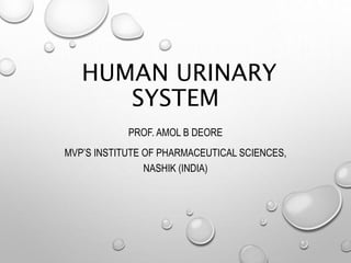HUMAN URINARY
SYSTEM
PROF. AMOL B DEORE
MVP’S INSTITUTE OF PHARMACEUTICAL SCIENCES,
NASHIK (INDIA)
 