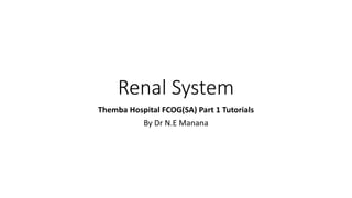 Renal System
Themba Hospital FCOG(SA) Part 1 Tutorials
By Dr N.E Manana
 