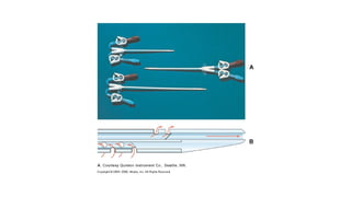 RENAL SYSTEM medical surgical nursing.pptx