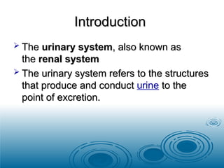Comprehensive Anatomy and Physiology of the Human Urinary System | PPT