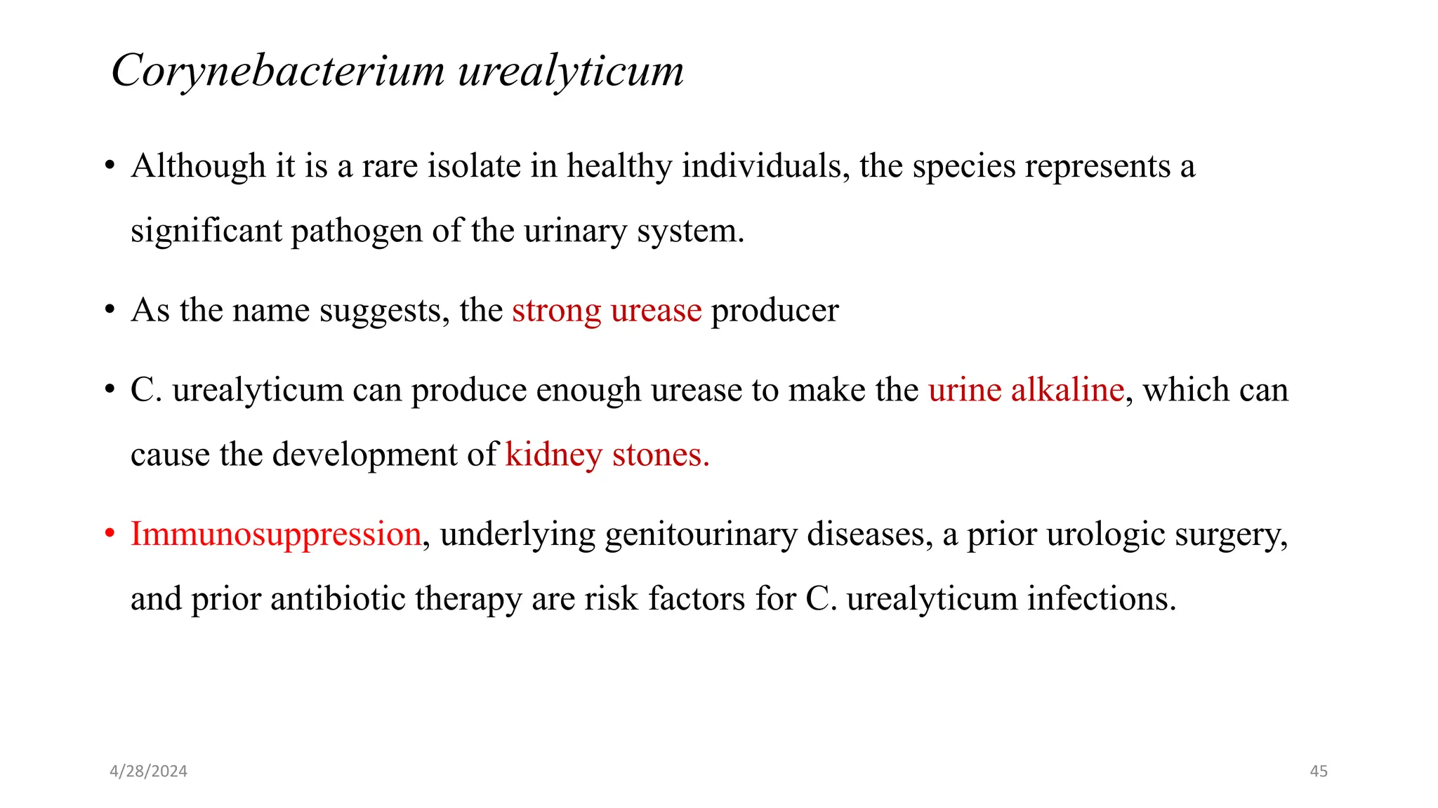Microbiology of Renal system for medicine students (1).pptx