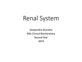 Renal System
Deependra Shrestha
MSc Clinical Biochemistry
Second Year
2074
 