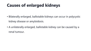 Causes of enlarged kidneys
• Bilaterally enlarged, ballotable kidneys can occur in polycystic
kidney disease or amyloidosis.
• A unilaterally enlarged, ballotable kidney can be caused by a
renal tumour.
 