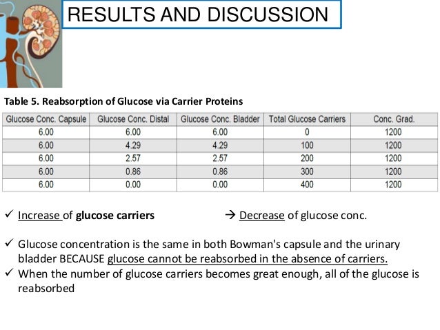 Physioex renal essay 07 picture