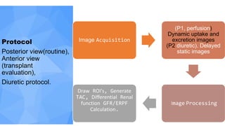 Protocol
Posterior view(routine),
Anterior view
(transplant
evaluation),
Diuretic protocol.
Image Acquisition
(P1, perfusion)
Dynamic uptake and
excretion images
(P2 diuretic). Delayed
static images
I​mage Processing
Draw ROI's, Generate
TAC, Differential Renal
function GFR/ERPF
Calculation.
 