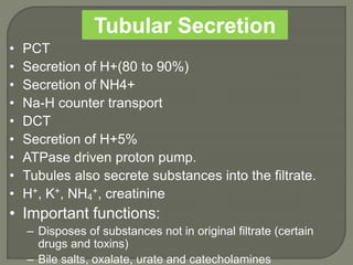 Tubular Secretion
• PCT
• Secretion of H+(80 to 90%)
• Secretion of NH4+
• Na-H counter transport
• DCT
• Secretion of H+5%
• ATPase driven proton pump.
• Tubules also secrete substances into the filtrate.
• H+, K+, NH4
+, creatinine
• Important functions:
– Disposes of substances not in original filtrate (certain
drugs and toxins)
– Bile salts, oxalate, urate and catecholamines
 
