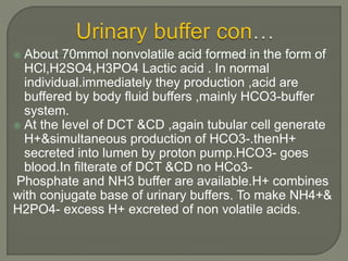  About 70mmol nonvolatile acid formed in the form of
HCl,H2SO4,H3PO4 Lactic acid . In normal
individual.immediately they production ,acid are
buffered by body fluid buffers ,mainly HCO3-buffer
system.
 At the level of DCT &CD ,again tubular cell generate
H+&simultaneous production of HCO3-.thenH+
secreted into lumen by proton pump.HCO3- goes
blood.In filterate of DCT &CD no HCo3-
Phosphate and NH3 buffer are available.H+ combines
with conjugate base of urinary buffers. To make NH4+&
H2PO4- excess H+ excreted of non volatile acids.
 