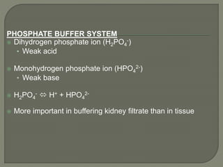 PHOSPHATE BUFFER SYSTEM
 Dihydrogen phosphate ion (H2PO4
-)
• Weak acid
 Monohydrogen phosphate ion (HPO4
2-)
• Weak base
 H2PO4
-  H+ + HPO4
2-
 More important in buffering kidney filtrate than in tissue
 
