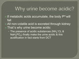  If metabolic acids accumulate, the body PH will
fall
 All non-volatile acid is excreted through kidney
 That’s why urine become acidic
• The presence of acidic substances (NH4
+CL &
NaH2PO4) finally make the urine acidic & this
acidification in fact starts from DCT
 