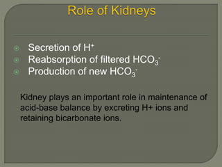  Secretion of H+
 Reabsorption of filtered HCO3
-
 Production of new HCO3
-
Kidney plays an important role in maintenance of
acid-base balance by excreting H+ ions and
retaining bicarbonate ions.
 