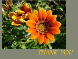 urine formation..mechanism,acidification,urinary buffers by dr.Tasnim