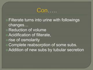 Filterate turns into urine with followings
changes…
Reduction of volume
Acidification of filterate,
rise of osmolarity
Complete reabsorption of some subs.
Addition of new subs by tubular secretion
 