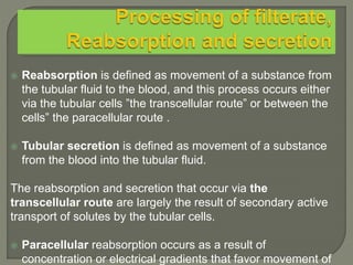  Reabsorption is defined as movement of a substance from
the tubular fluid to the blood, and this process occurs either
via the tubular cells ”the transcellular route” or between the
cells” the paracellular route .
 Tubular secretion is defined as movement of a substance
from the blood into the tubular fluid.
The reabsorption and secretion that occur via the
transcellular route are largely the result of secondary active
transport of solutes by the tubular cells.
 Paracellular reabsorption occurs as a result of
concentration or electrical gradients that favor movement of
 