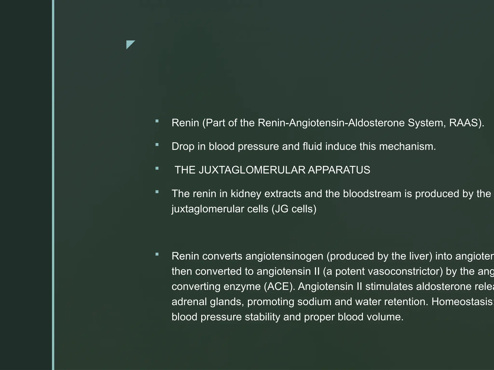 z
 Renin (Part of the Renin-Angiotensin-Aldosterone System, RAAS).
 Drop in blood pressure and fluid induce this mechanism.
 THE JUXTAGLOMERULAR APPARATUS
 The renin in kidney extracts and the bloodstream is produced by the
juxtaglomerular cells (JG cells)
 Renin converts angiotensinogen (produced by the liver) into angioten
then converted to angiotensin II (a potent vasoconstrictor) by the ang
converting enzyme (ACE). Angiotensin II stimulates aldosterone relea
adrenal glands, promoting sodium and water retention. Homeostasis:
blood pressure stability and proper blood volume.
 