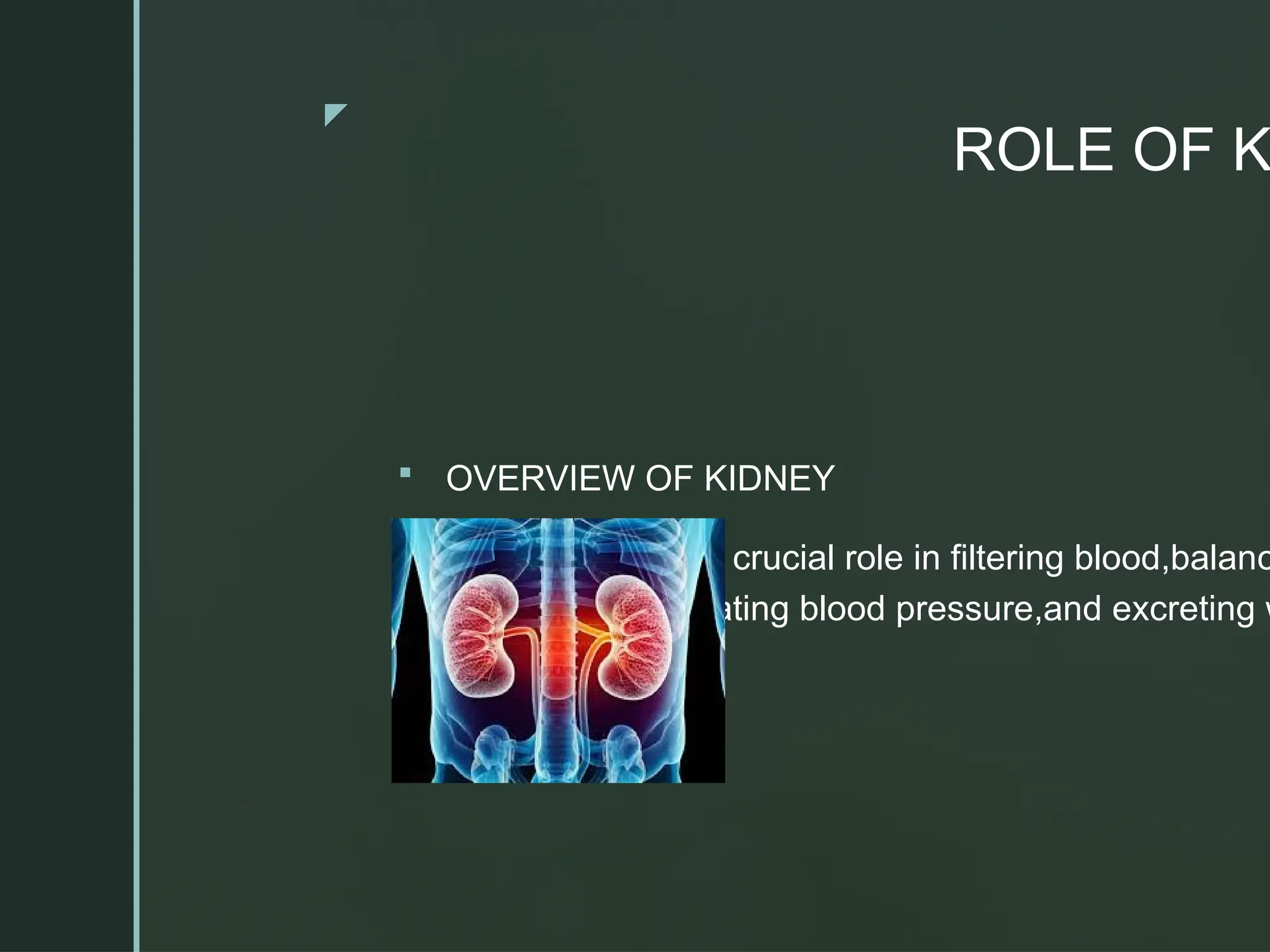 z
ROLE OF K
 OVERVIEW OF KIDNEY
 The kidney play a crucial role in filtering blood,balanc
electrolytes,regulating blood pressure,and excreting w
products
 