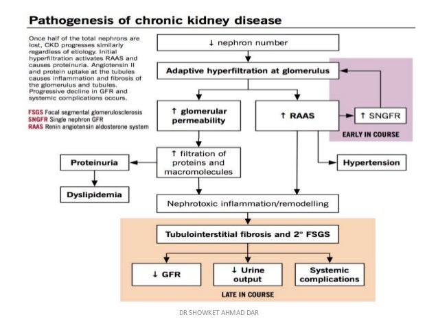 Atelectasis Lung Icd 10 Code image information