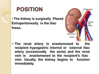 RENAL TRANSPLANT COMPLICATIONS OF RENAL TRANSPLANT.pptx