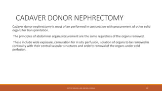 CADAVER DONOR NEPHRECTOMY
Cadaver donor nephrectomy is most often performed in conjunction with procurement of other solid
organs for transplantation.
The principles of abdominal organ procurement are the same regardless of the organs removed.
These include wide exposure, cannulation for in situ perfusion, isolation of organs to be removed in
continuity with their central vascular structures and orderly removal of the organs under cold
perfusion.
DEPT OF UROLOGY, KMC AND GRH, CHENNAI 12
 