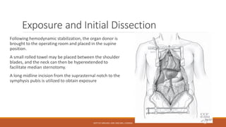 Exposure and Initial Dissection
Following hemodynamic stabilization, the organ donor is
brought to the operating room and placed in the supine
position.
A small rolled towel may be placed between the shoulder
blades, and the neck can then be hyperextended to
facilitate median sternotomy.
A long midline incision from the suprasternal notch to the
symphysis pubis is utilized to obtain exposure
DEPT OF UROLOGY, KMC AND GRH, CHENNAI 14
 