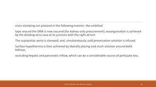 cross-clamping can proceed in the following manner: the umbilical
tape around the SMA is now secured (for kidney-only procurement), exsanguination is achieved
by the dividing vena cava at its junction with the right atrium
The supraceliac aorta is clamped, and, simultaneously, cold preservation solution is infused.
Surface hypothermia is then achieved by liberally placing iced slush solution around both
kidneys.
occluding hepatic and pancreatic inflow, which can be a considerable source of perfusate loss.
DEPT OF UROLOGY, KMC AND GRH, CHENNAI 23
 