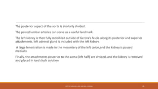 The posterior aspect of the aorta is similarly divided.
The paired lumbar arteries can serve as a useful landmark.
The left kidney is then fully mobilized outside of Gerota’s fascia along its posterior and superior
attachments. left adrenal gland is included with the left kidney.
A large fenestration is made in the mesentery of the left colon,and the kidney is passed
medially.
Finally, the attachments posterior to the aorta (left half) are divided, and the kidney is removed
and placed in iced slush solution
DEPT OF UROLOGY, KMC AND GRH, CHENNAI 26
 