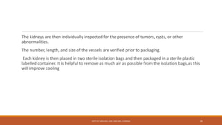 The kidneys are then individually inspected for the presence of tumors, cysts, or other
abnormalities.
The number, length, and size of the vessels are verified prior to packaging.
Each kidney is then placed in two sterile isolation bags and then packaged in a sterile plastic
labelled container. It is helpful to remove as much air as possible from the isolation bags,as this
will improve cooling
DEPT OF UROLOGY, KMC AND GRH, CHENNAI 30
 