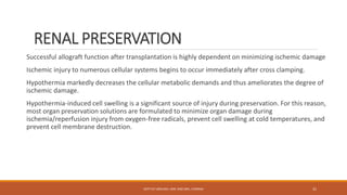 RENAL PRESERVATION
Successful allograft function after transplantation is highly dependent on minimizing ischemic damage
Ischemic injury to numerous cellular systems begins to occur immediately after cross clamping.
Hypothermia markedly decreases the cellular metabolic demands and thus ameliorates the degree of
ischemic damage.
Hypothermia-induced cell swelling is a significant source of injury during preservation. For this reason,
most organ preservation solutions are formulated to minimize organ damage during
ischemia/reperfusion injury from oxygen-free radicals, prevent cell swelling at cold temperatures, and
prevent cell membrane destruction.
DEPT OF UROLOGY, KMC AND GRH, CHENNAI 31
 